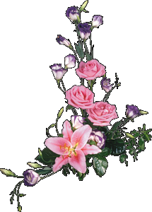 /Files/images/0_6589d_3c43f452_m(1).png